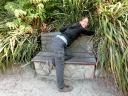 christchurch (21)